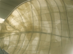 image04