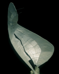 image05